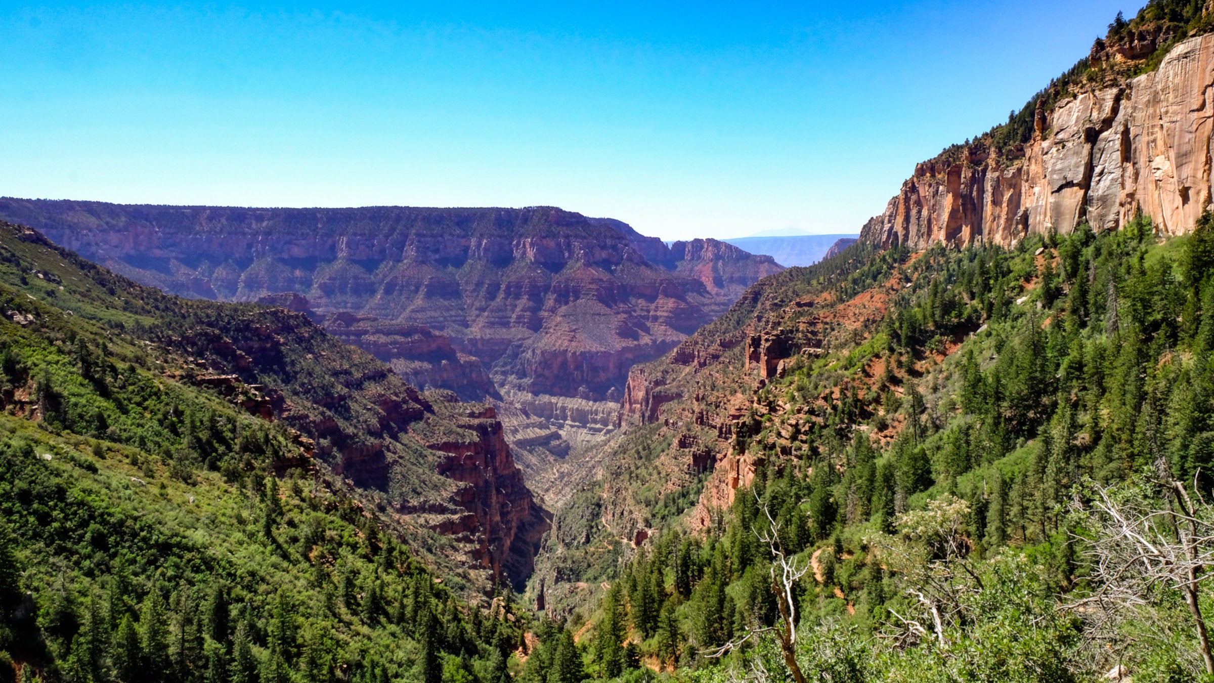 Everything I Wish I Knew Before Hiking Rim to Rim at the Grand Canyon