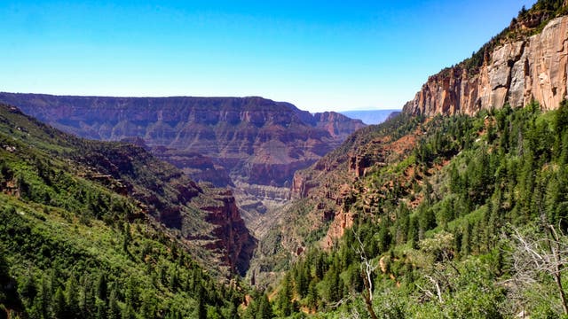 Everything I Wish I Knew Before Hiking Rim to Rim at the Grand Canyon