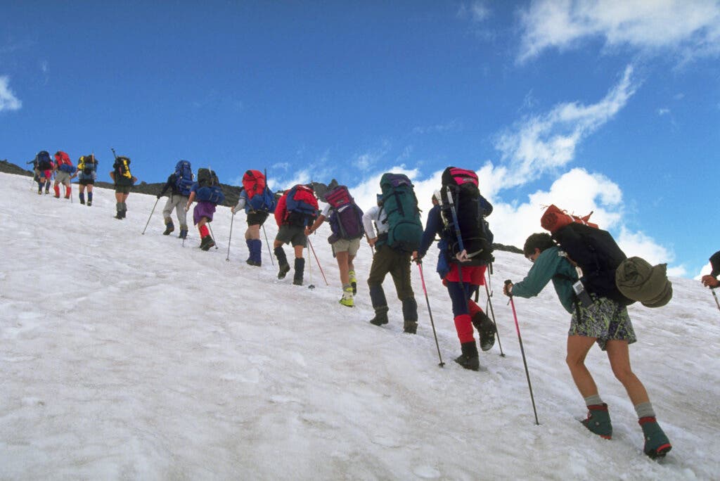 Mountain climbers walk in a line on Mount Rainier during the Mount Rainier Celebrity Climb benefitting the Nisqually River Land Trust. Mount Rainier National Park, Washington, USA. 