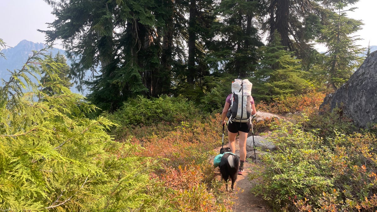 I Love Dogs—Which Is Why I Would Never Bring Mine on a Thru-Hike