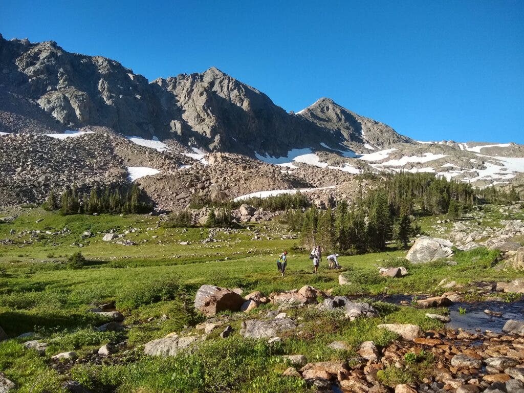 Several hikers walking through an alpine meadow in the Rockies