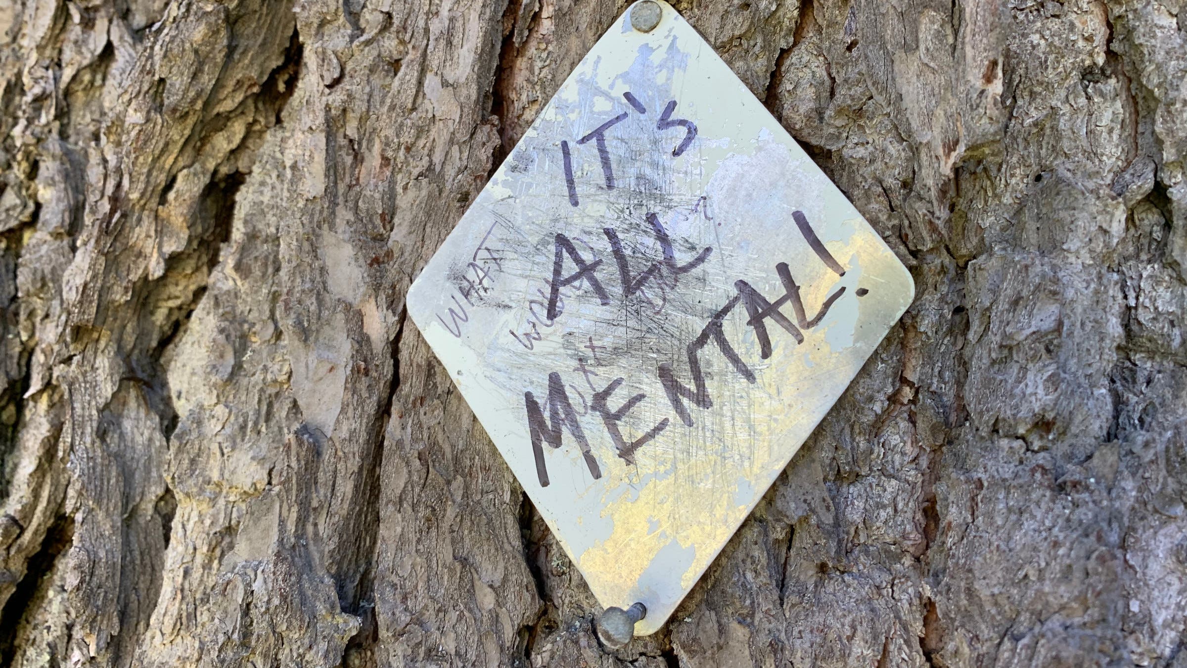 it's all mental