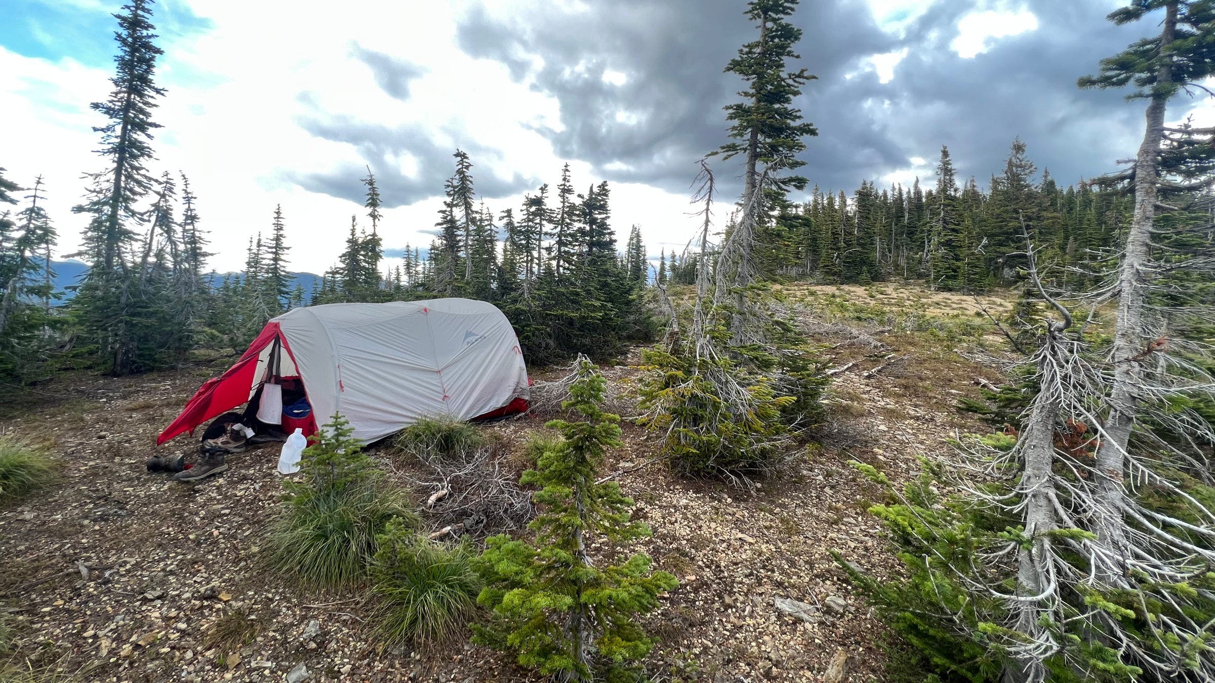 ten-lakes-forest-study-area-stahl-peak-fire-view
