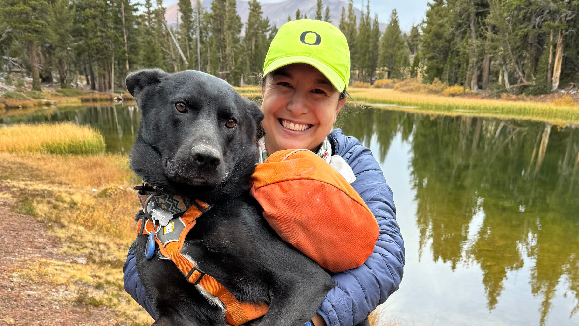 puppackr-dog-backpacking-dehydrated-food