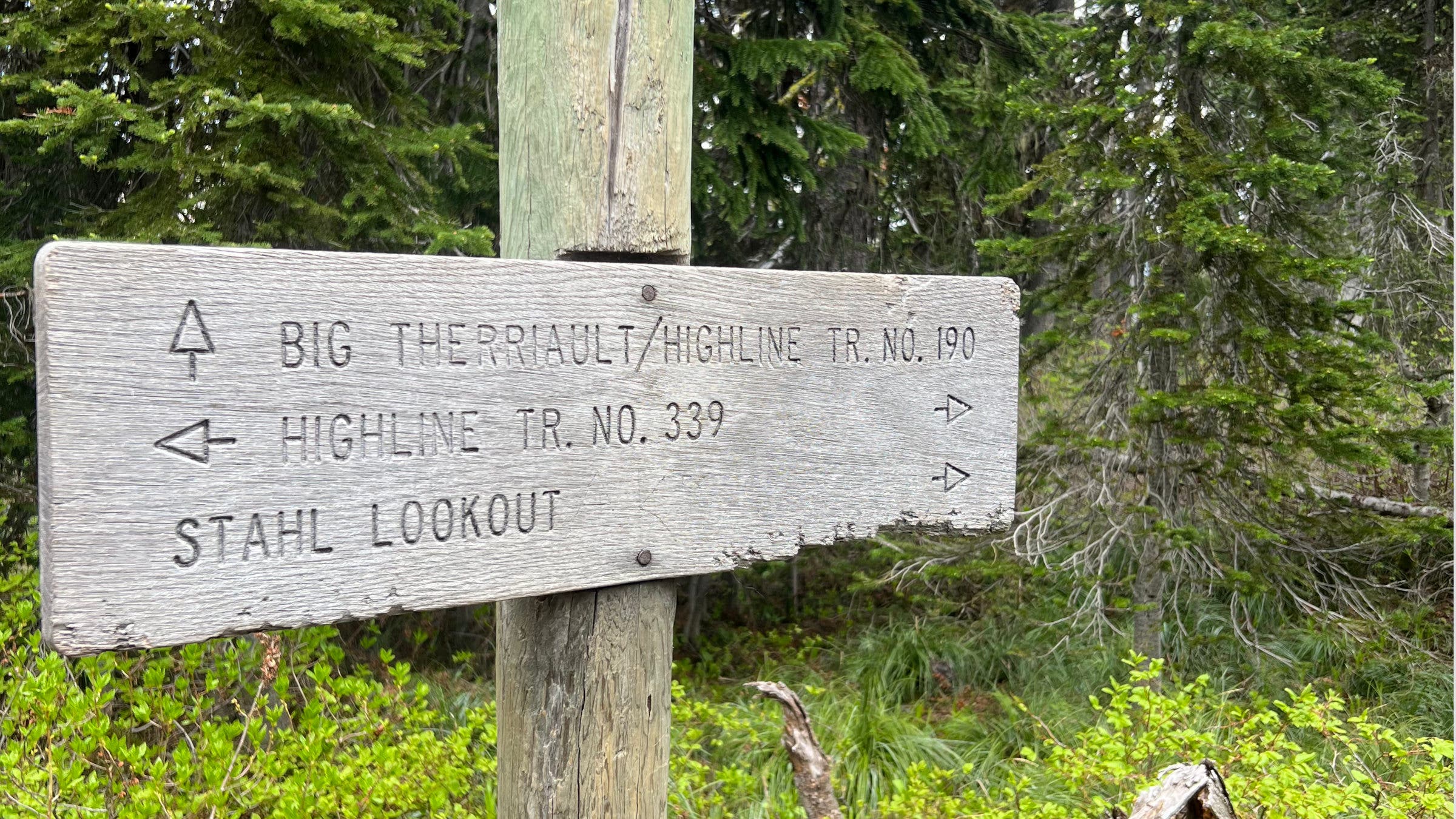 ten-lakes-forest-study-area-stahl-peak-fire-view