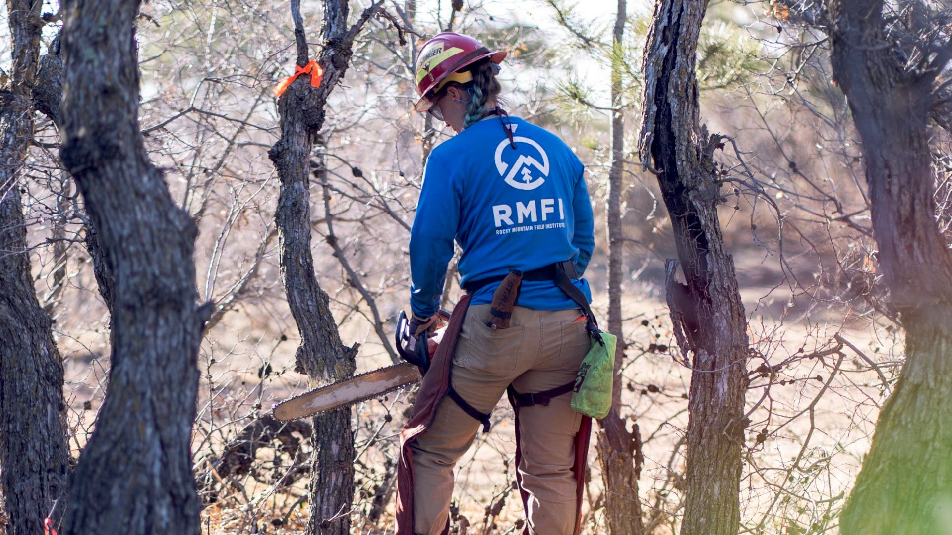 This Is What Trailworkers Say They Wish Hikers Knew