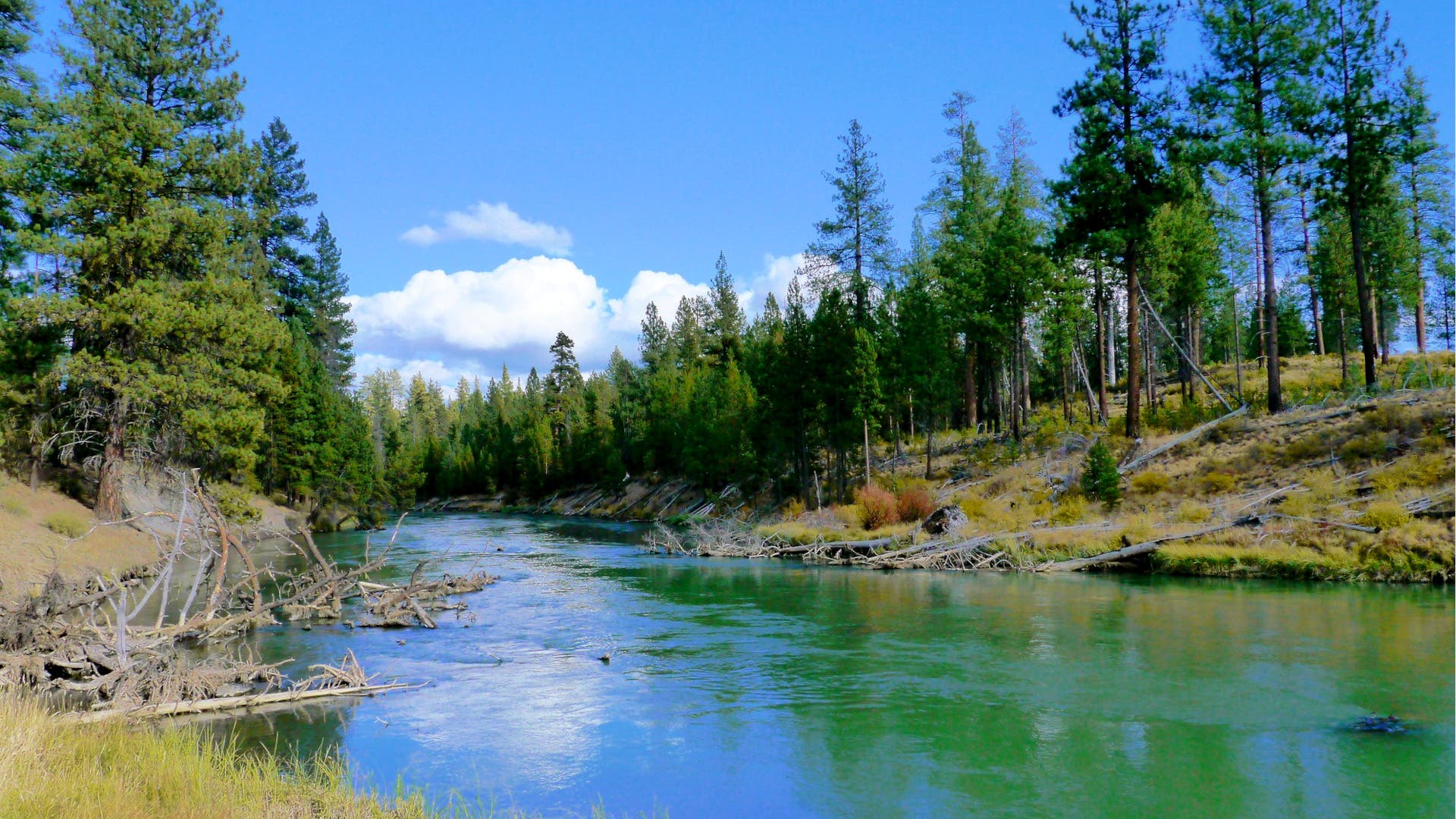 Ditch Oregon's Crowds at These 5 High Desert State Parks
