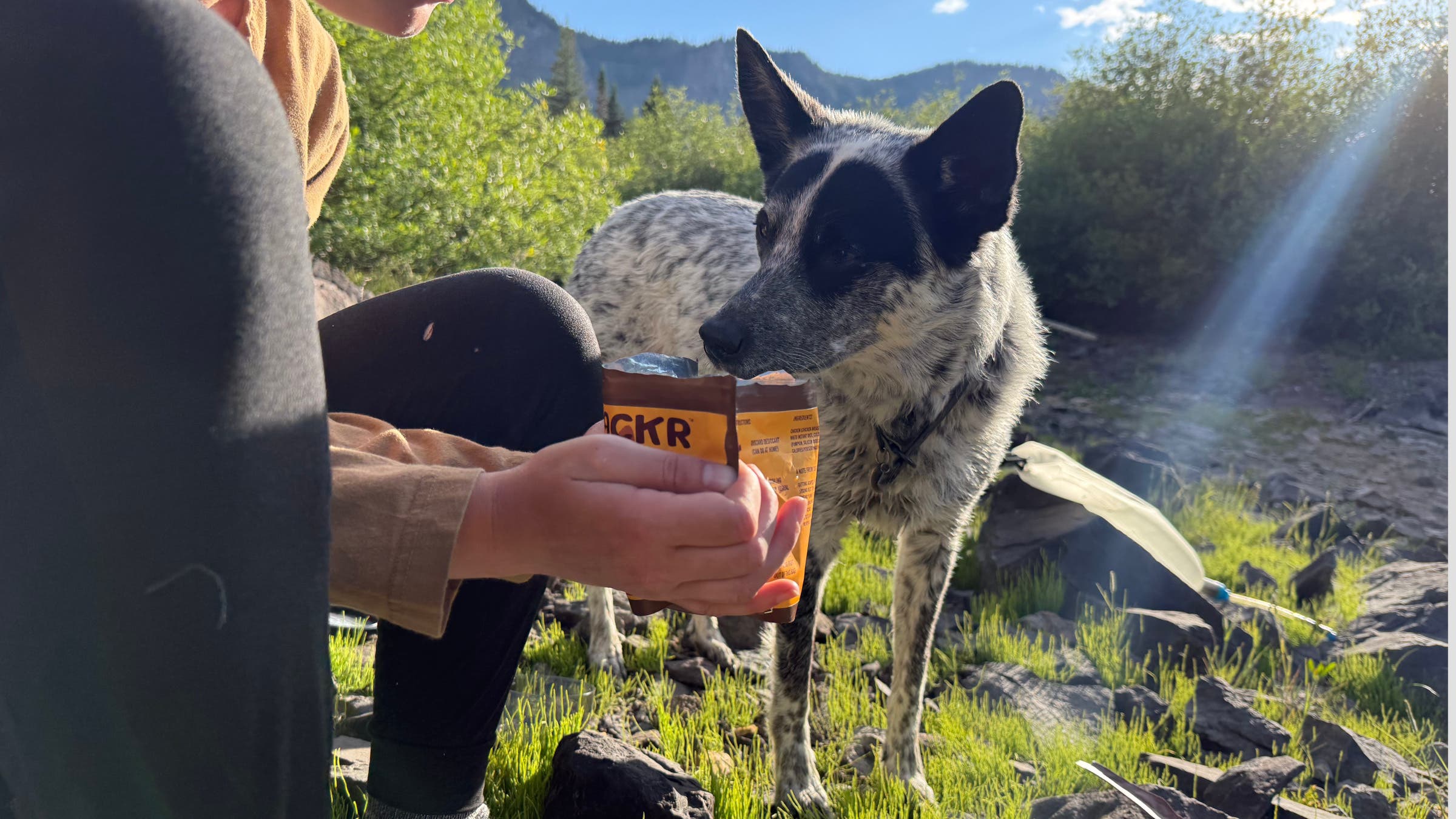 puppackr-dog-backpacking-dehydrated-food