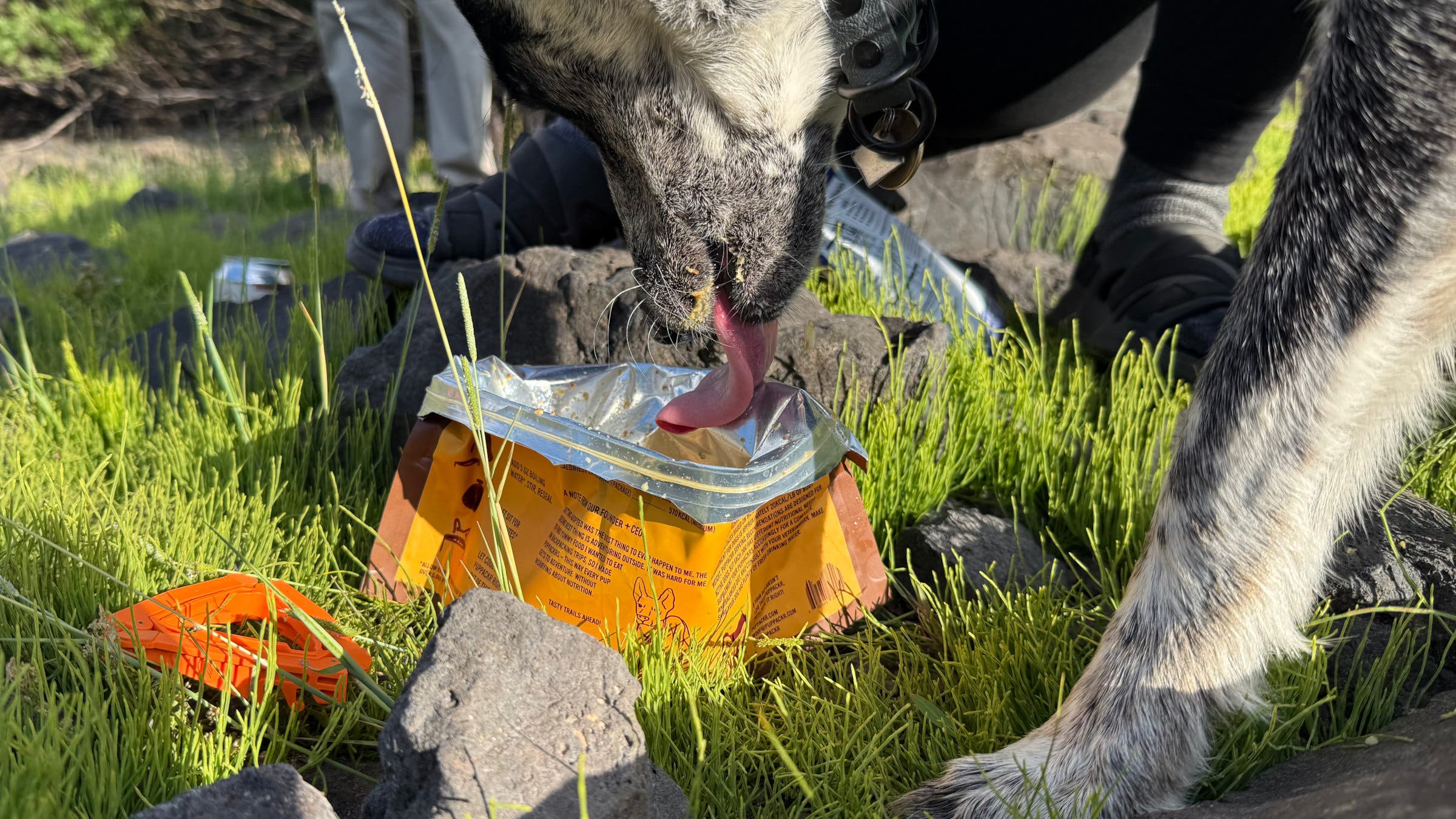 puppackr-dog-backpacking-dehydrated-food