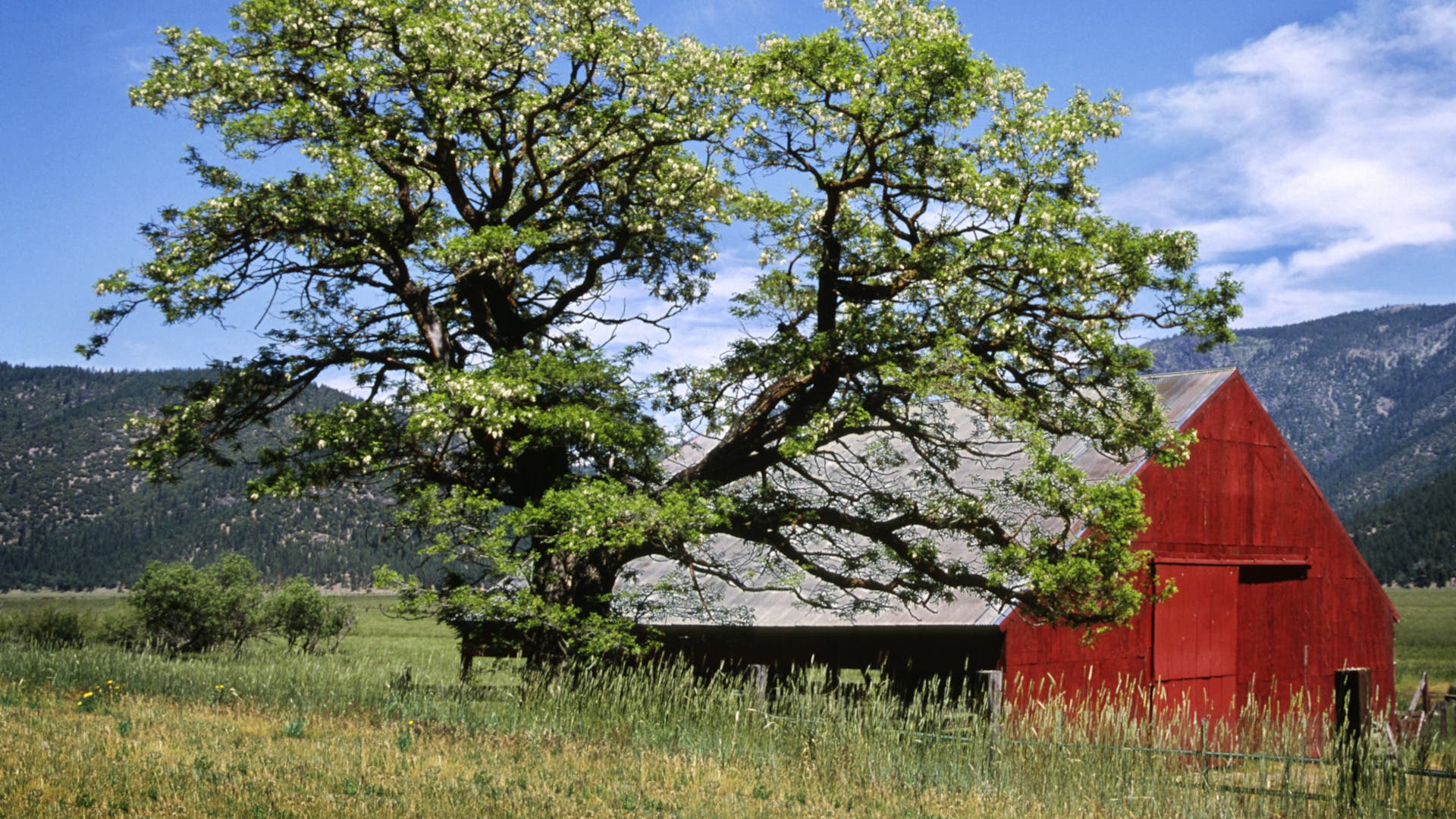 Tired of Bougie Mountain Towns? Try These Gritty Escapes Instead.