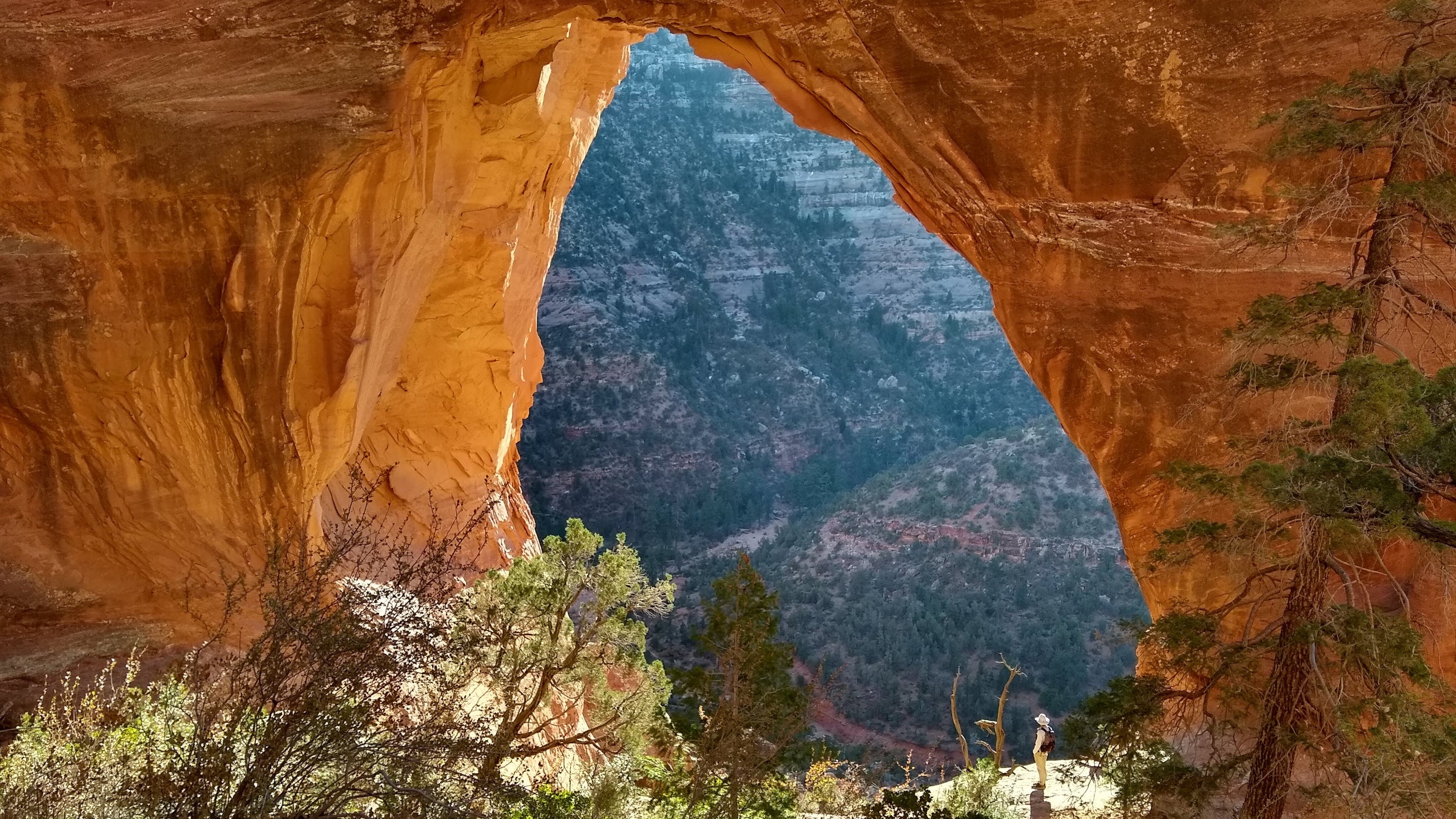 Trump Will Reportedly Shrink Bears Ears and Grand Staircase-Escalante Next Week