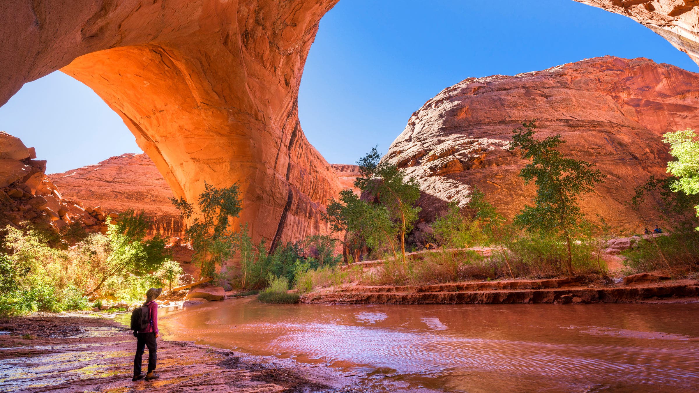 Coyote Gulch