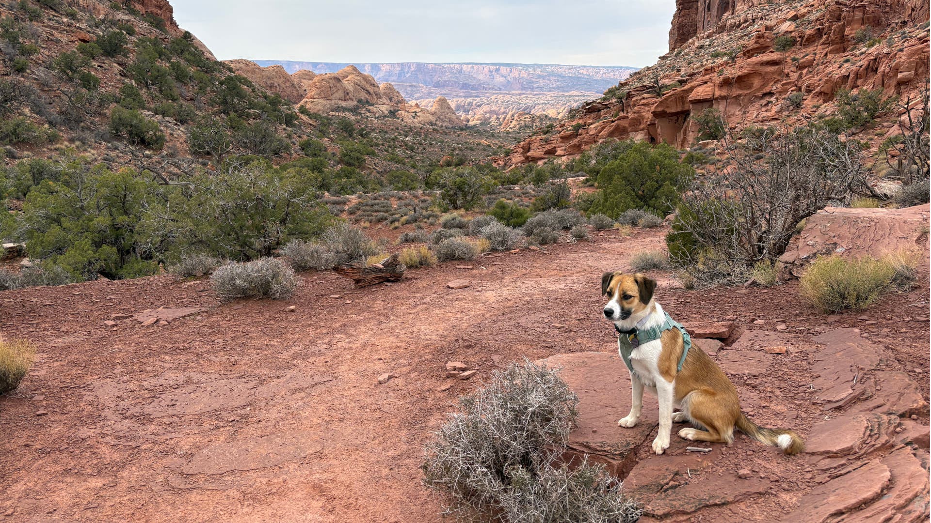 Why I Traded My Tent for a Glamping Trailer on My Last Hiking Trip