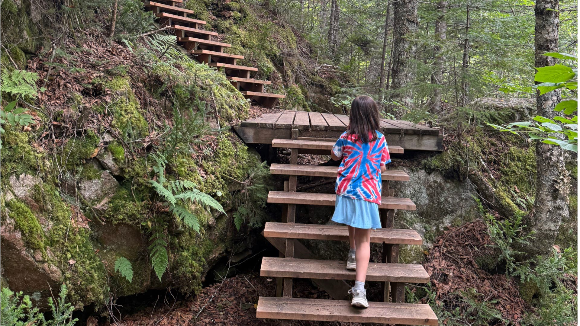 10 Family-Friendly Quebec Hikes to Waterfalls, Peaks, and Magical Forests