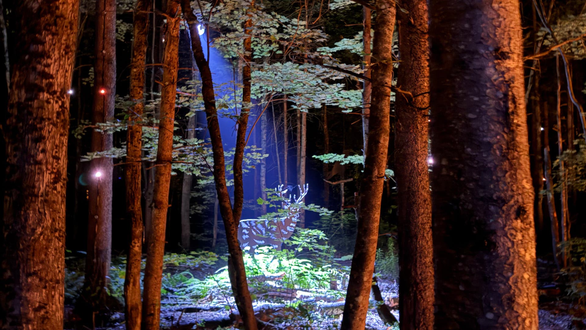 10 Family-Friendly Quebec Hikes to Waterfalls, Peaks, and Magical Forests