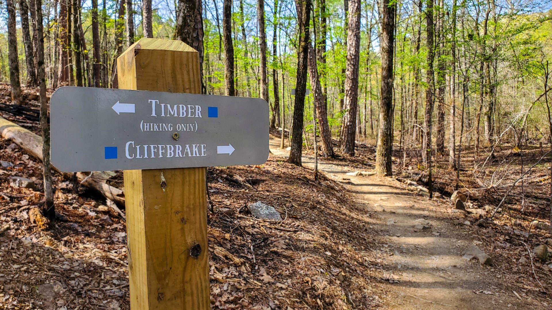 5 Close-to-Town Trails in Arkansas’ Under-the-Radar Outdoor Capital