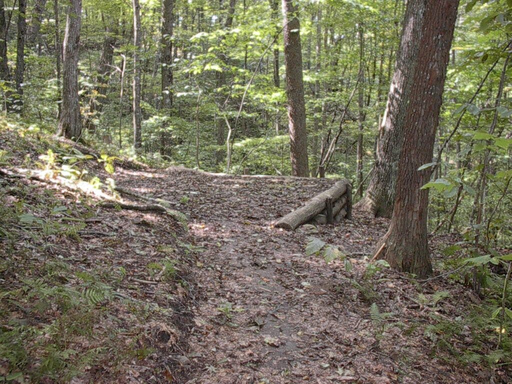 Shelters Have Long Been a Symbol of the Appalachian Trail. Are They on the Way Out?