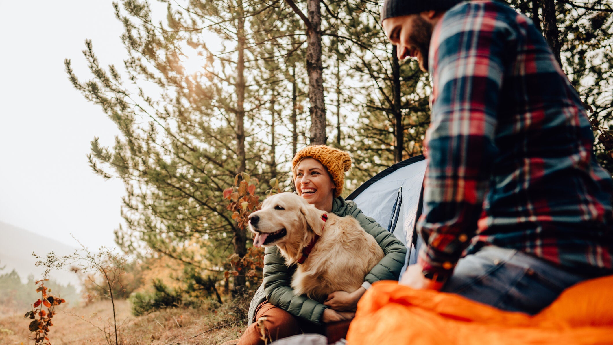 Your Fall Activity Roundup Your Fall Activity Roundup
