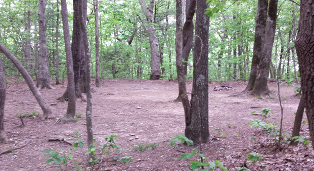 Shelters Have Long Been a Symbol of the Appalachian Trail. Are They on the Way Out?