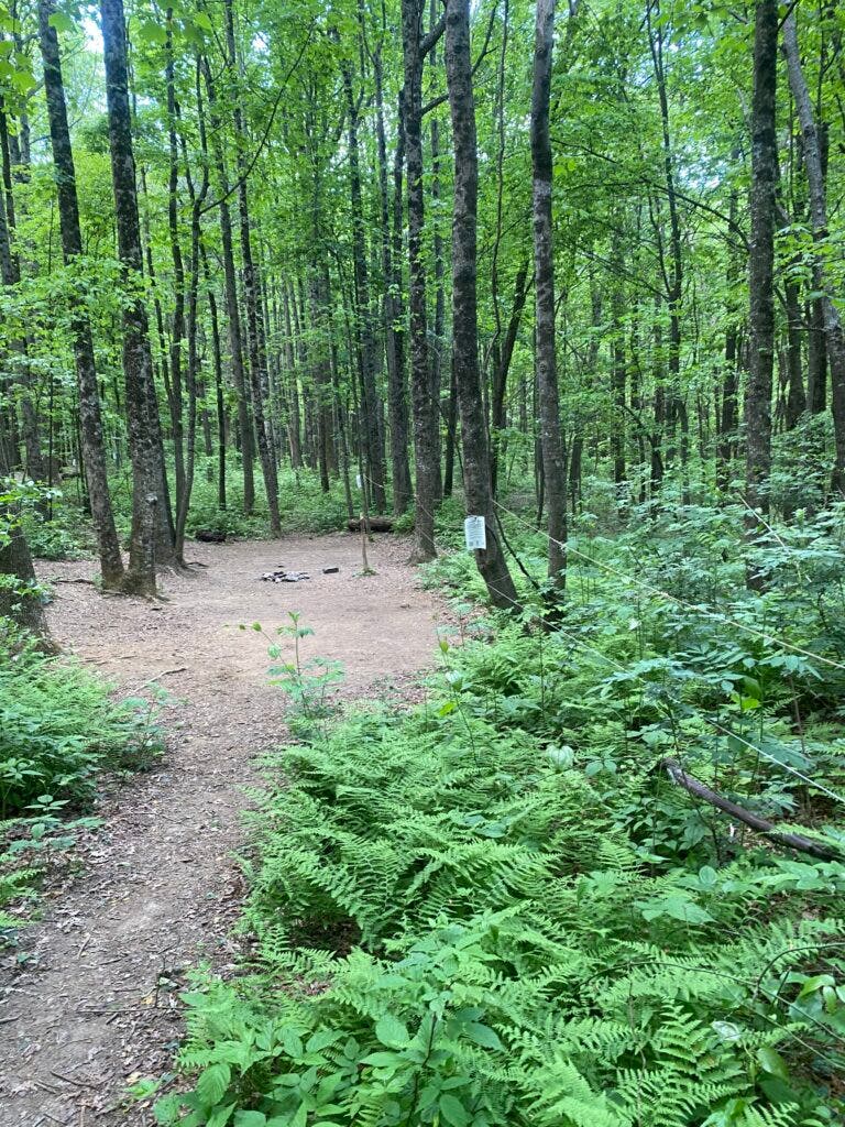Shelters Have Long Been a Symbol of the Appalachian Trail. Are They on the Way Out?