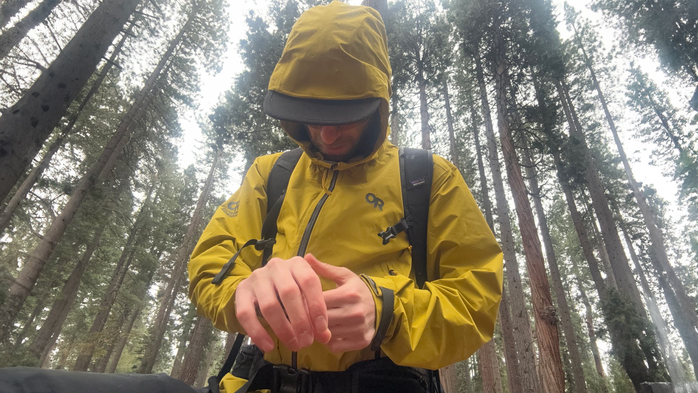 Outdoor Research SkyChaser in stand of pines