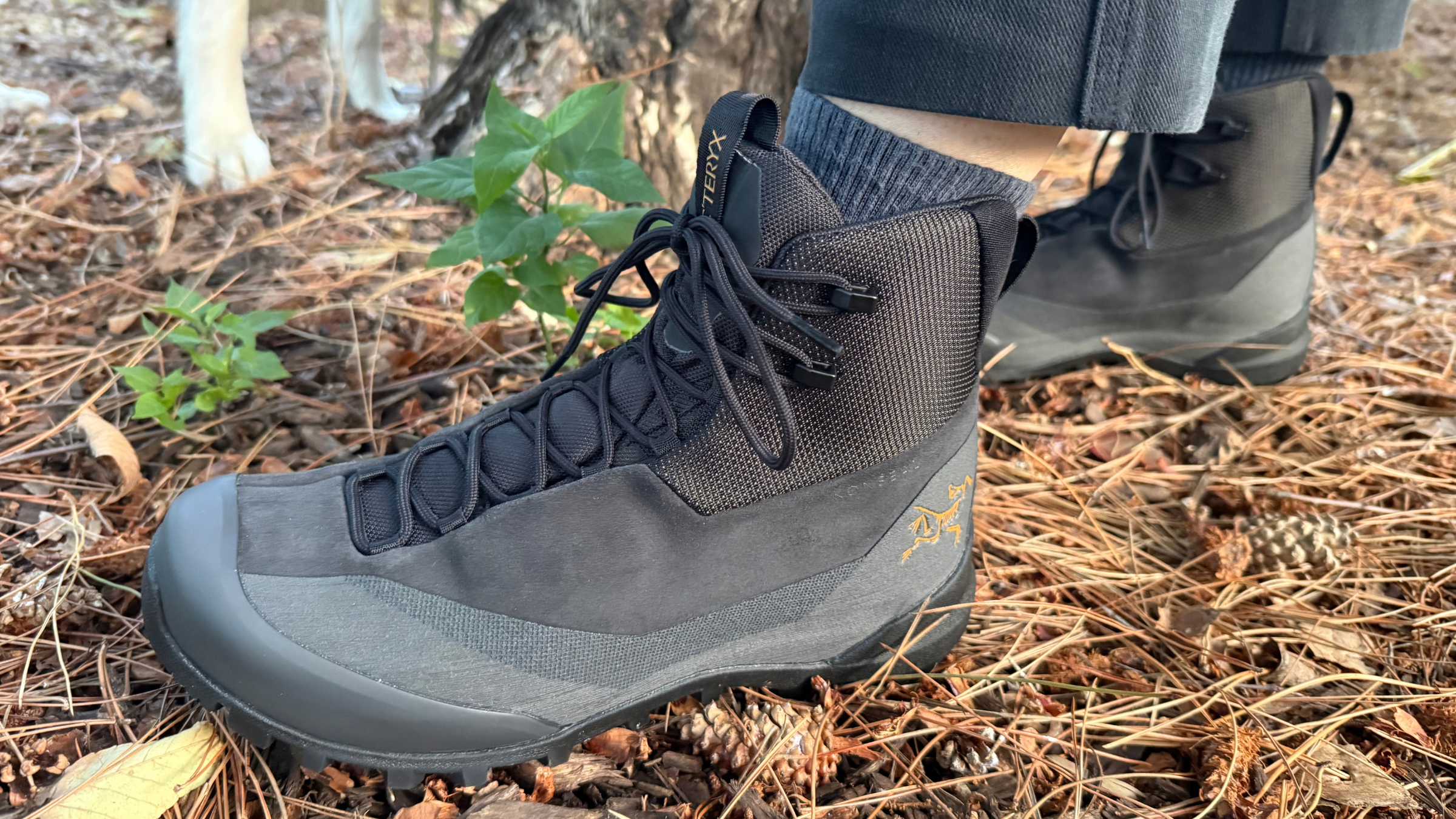 The Best Women’s Hiking Boots and Shoes (2026)