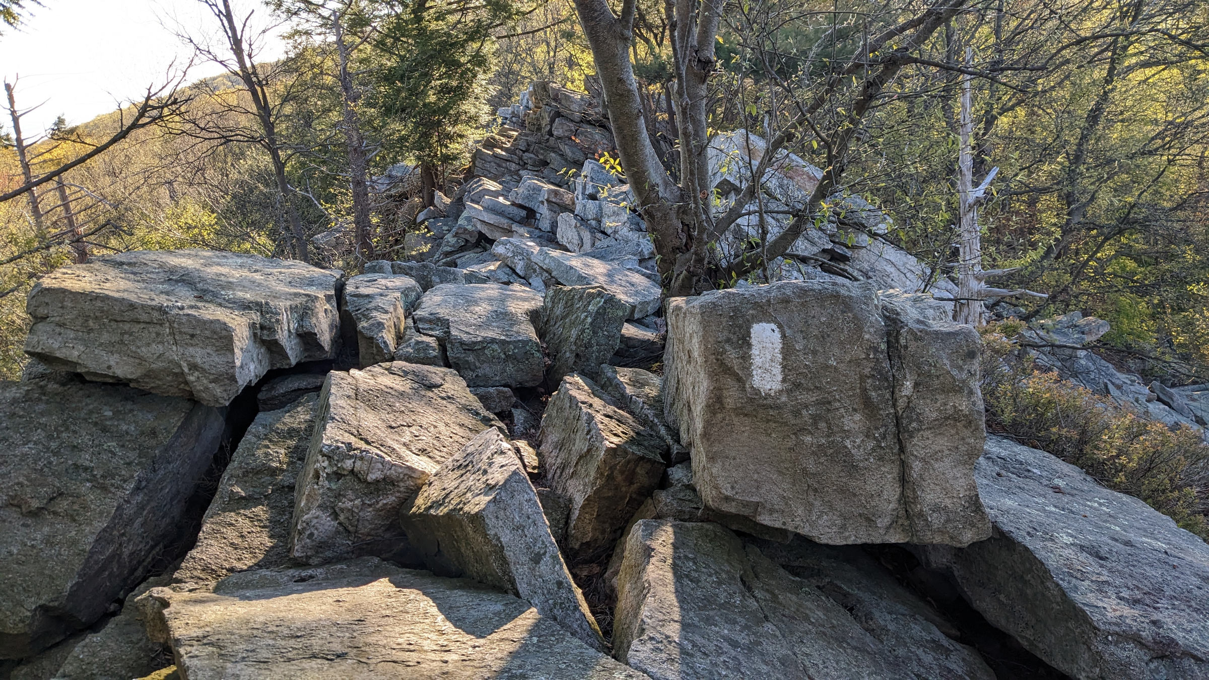 A Hiker Fell Off a Cliff on the Appalachian Trail. It Took Him an Entire Night to Call for Help.