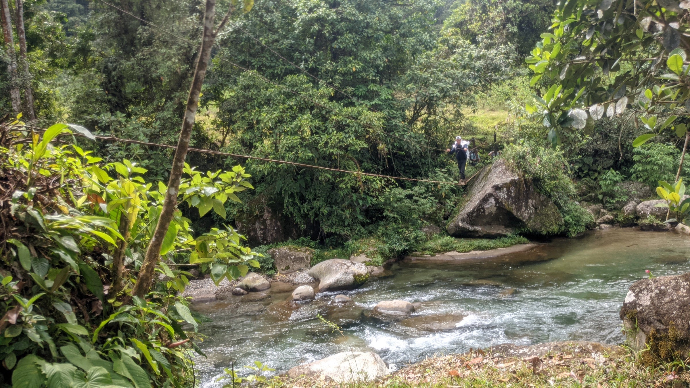 Camping in a Tropical Rainforest Was My Lifelong Dream. Here's How I Pulled It Off