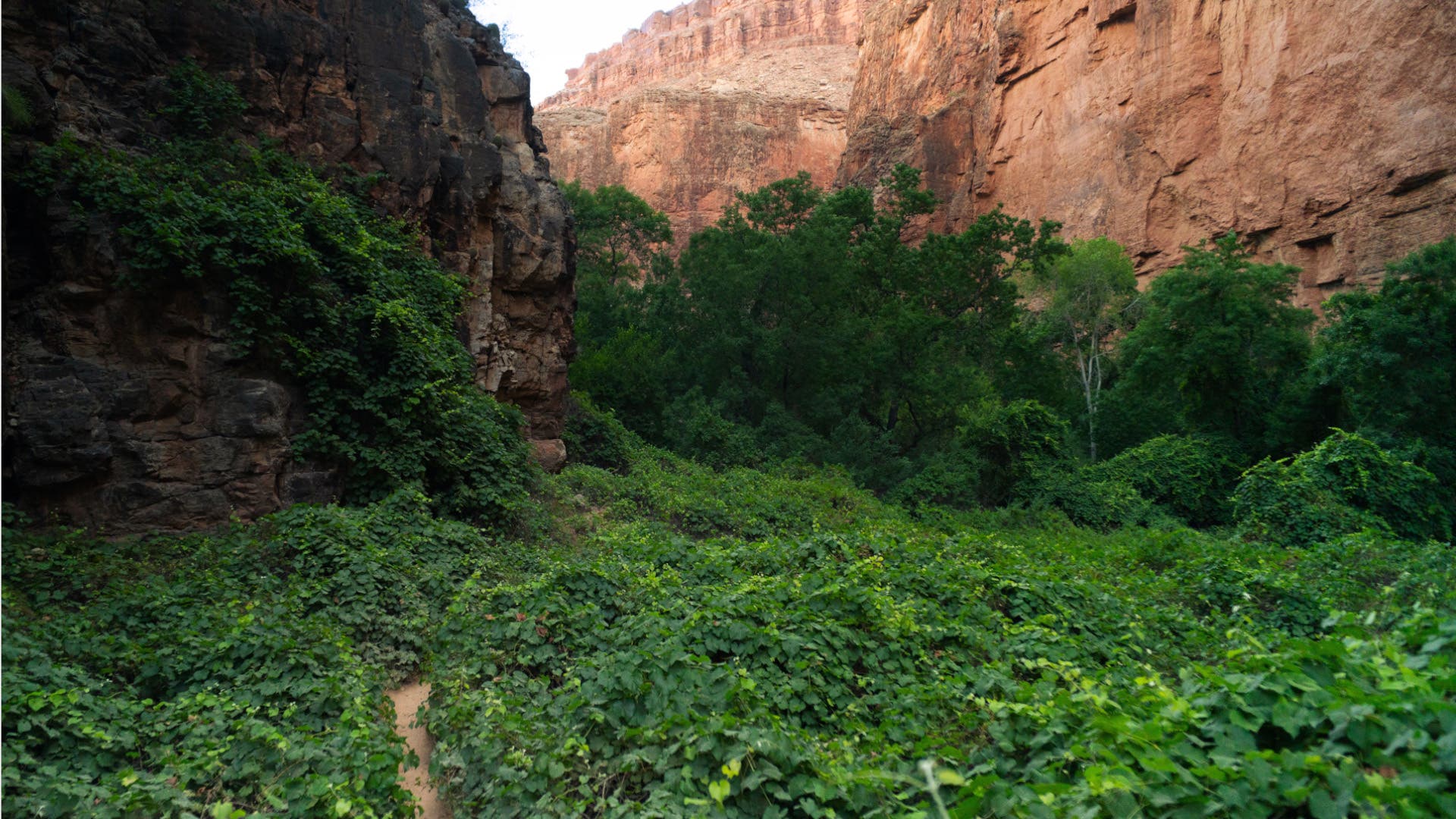 Everyone Goes to Havasu Canyon for the Waterfalls. Here's What They're Missing.