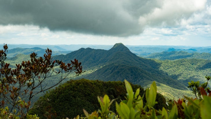 hiking-belize-jaguar-sanctuary