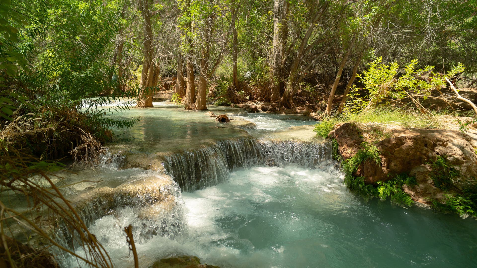 Everyone Goes to Havasu Canyon for the Waterfalls. Here's What They're Missing.