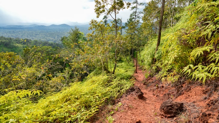 hiking-belize-jaguar-sanctuary