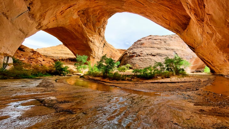 hike-these-endangered-trails