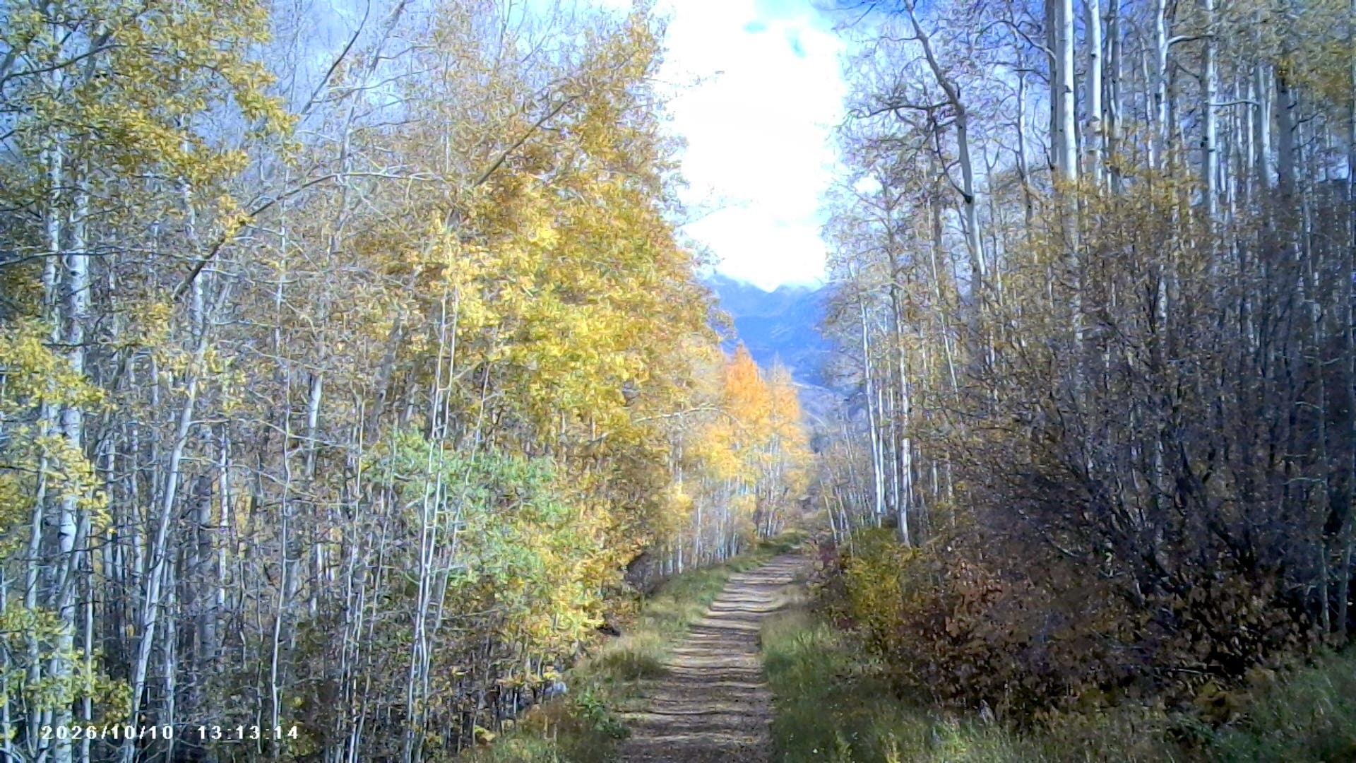 I Took a $30 Keychain Camera Hiking to See If It Could Replace My Smartphone Camera