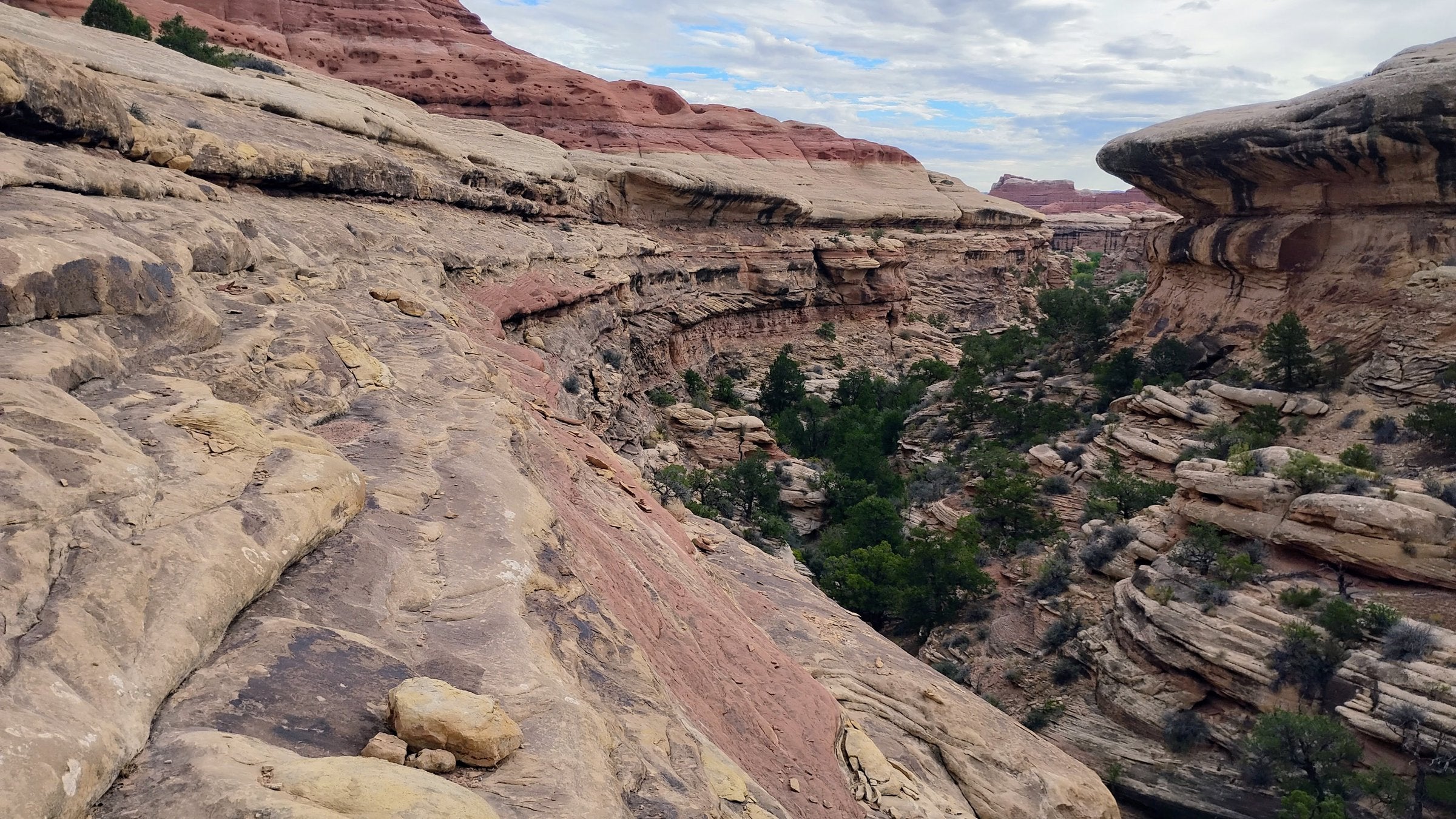 Hike of the Week: This Canyonlands Loop Is a Perfect Intro to Desert Backpacking