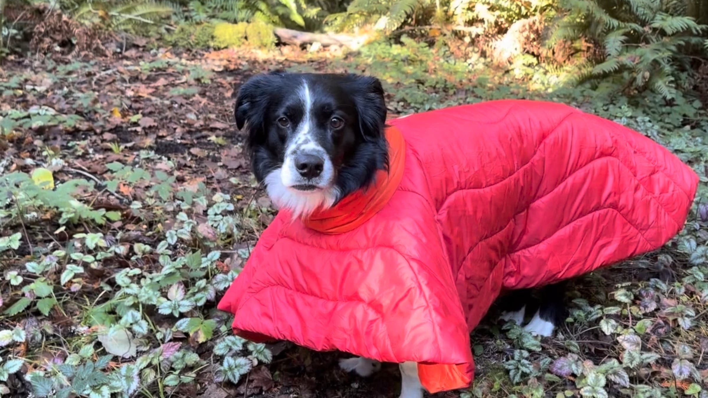 The Gear That Backpacker’s Editors Loved in October 2026