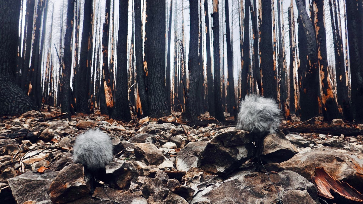 What Does the PCT Sound Like? Meet the Thru-Hiker Who Recorded His Journey.